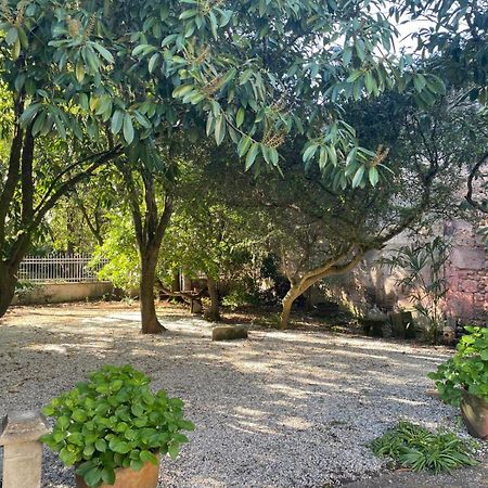 Annexe Du Pont De La Charente Apartment Chateauneuf-sur-Charente Exterior photo