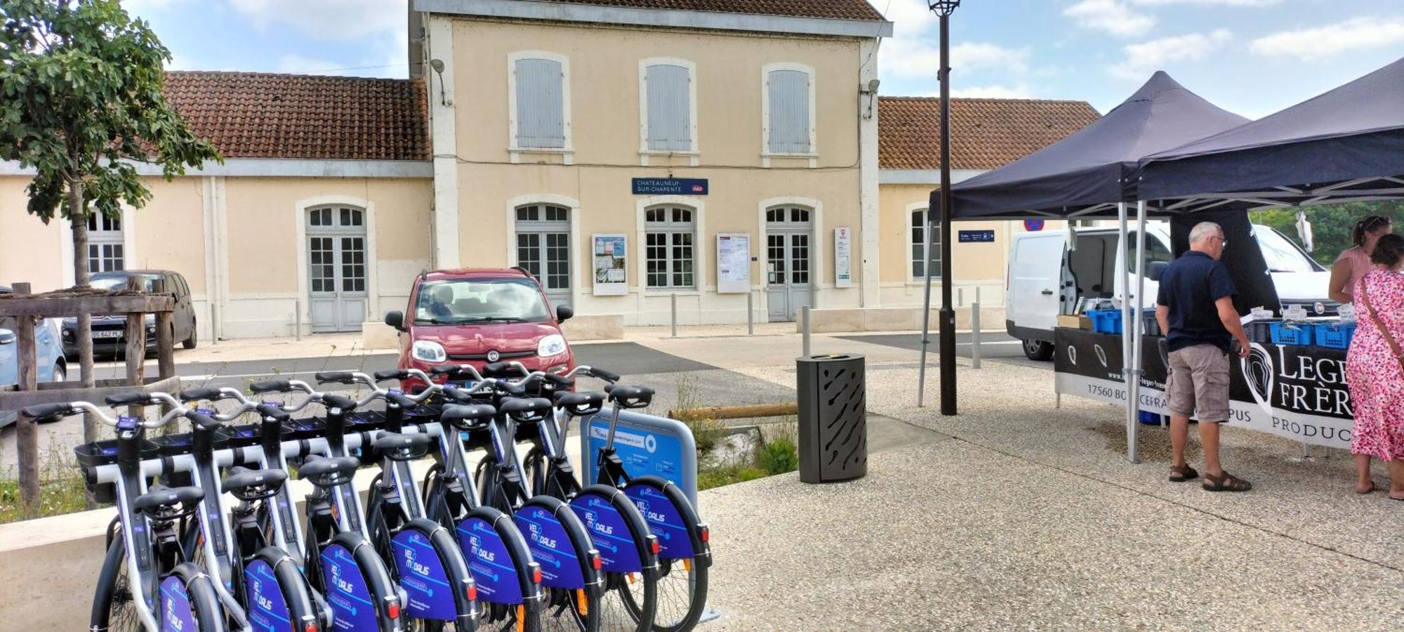 Annexe Du Pont De La Charente Apartment Chateauneuf-sur-Charente Exterior photo